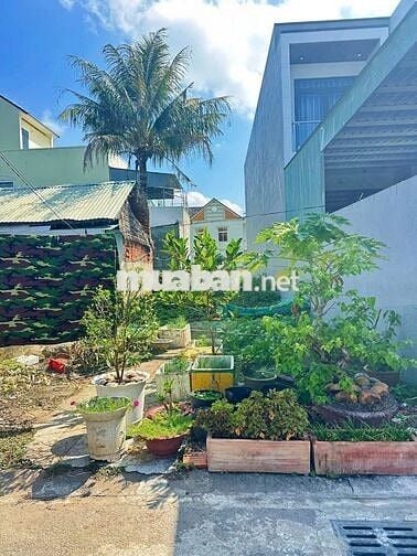 BÁN ĐẤT THỔ CƯ ĐƯỜNG HỒ TRUNG THÀNH  - BÌNH THỦY - CẦN THƠ