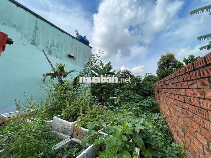 Đất thổ cư hẻm xe hơi thông Tân Xuân 5, 5m x 17m, 3 tỷ