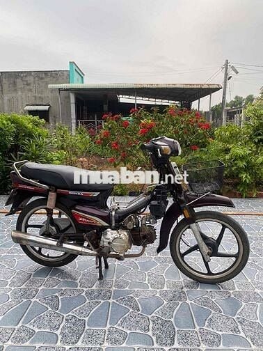 Honda Dream 2006 Nâu
