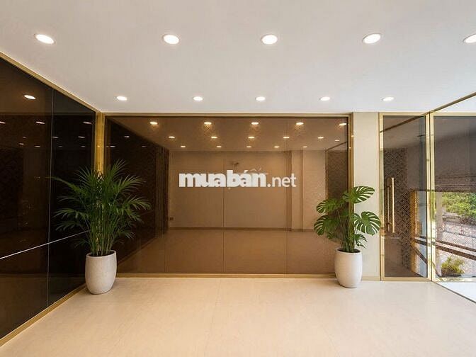 MBKD 50m2 101 Nguyễn Văn Trỗi PN