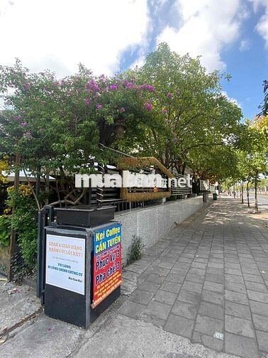 TUYỂN PHA CHẾ CÓ KINH NGHIỆM