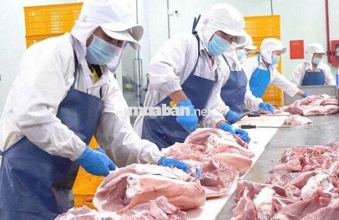 NHÂN VIÊN PHA LÓC/PHỤ BẾP/DIMSUM THU NHẬP 12TR