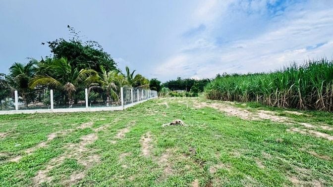 5x61 có thổ cư. Gần KCN. Dân đông. Chỉ 410tr. Rẻ quá rẻ 