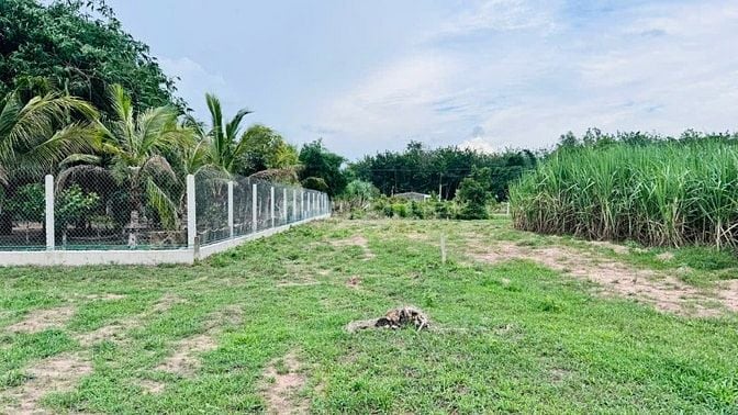 5x61 có thổ cư. Gần KCN. Dân đông. Chỉ 410tr. Rẻ quá rẻ 