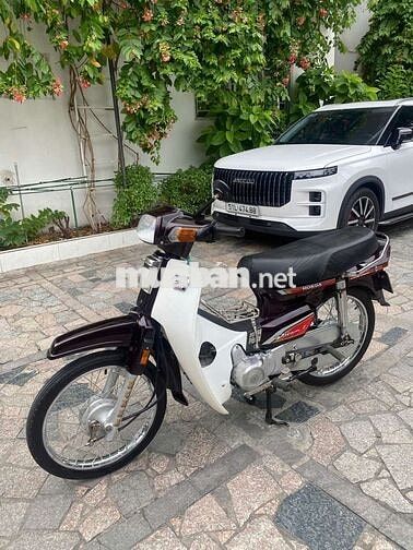 Honda Dream thái bstp