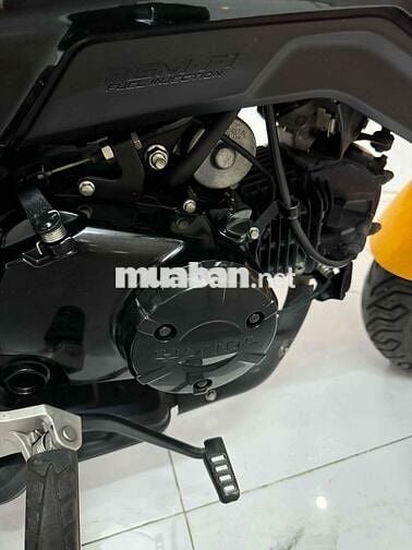 Honda MSX 125 2020 Vàng