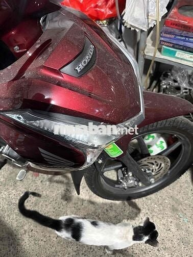 Honda Future FI (C) 2026 Đỏ 93 km