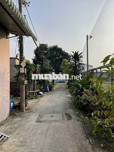 Bán lô đất thổ cư đường Tân Xuân 5A, SHR, 5m x 30m, 4.1 tỷ