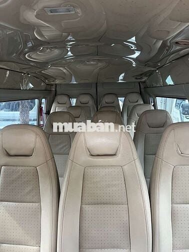 Ford Transit 2017 Trắng Xe khách