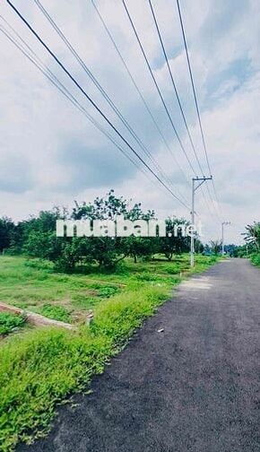 Bán hơn 300m2 thổ cư Long Khánh Đồng Nai