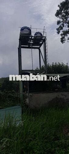 Cần bán gấp nhà xưởng và dây chuyền sản xuất cám công suất 2tan/h