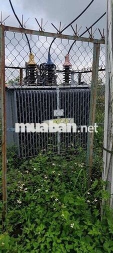Cần bán gấp nhà xưởng và dây chuyền sản xuất cám công suất 2tan/h