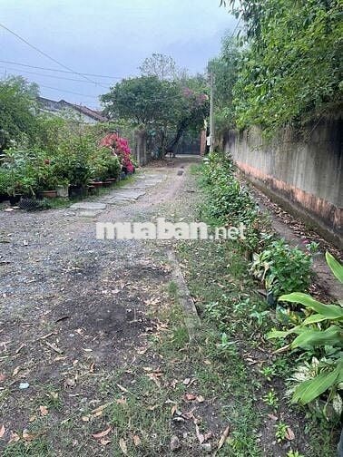 Bán Siêu Phẩm Gần Chợ Trảng Bàng Chỉ 500tr . DT 165m2, Sổ Hồng Riêng