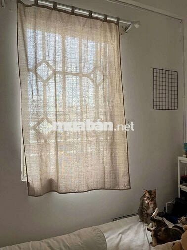Studio ban công tách bếp ngay chợ CÂY QUÉO