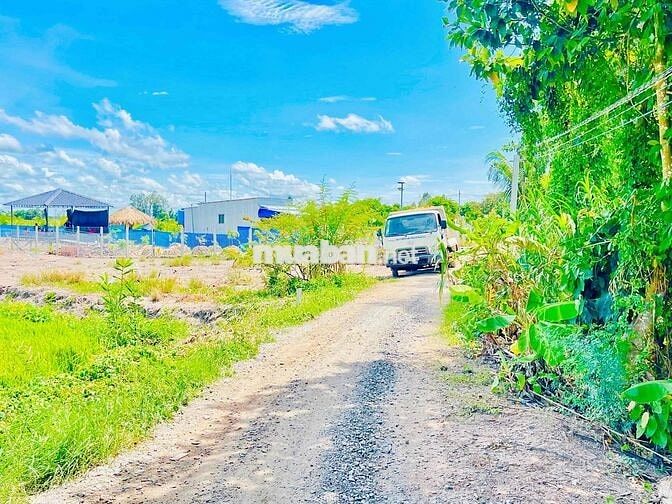 ĐẤT RUỘNG 1183m2 Lộ đá mi Phường Bình Đức Mới