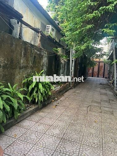 🛑CHO THUÊ NHÀ MẶT TIỀN NGUYÊN HỒNG🛑300m2 SÂN VƯỜN + TRỆT 2 LẦU-NỞ HẬU