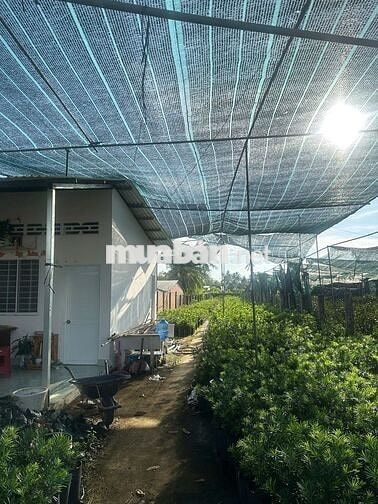 Bán 631m2 Đất Hòa Nghĩa - gần ngã 5, mặt tiền hơn 9m QL57