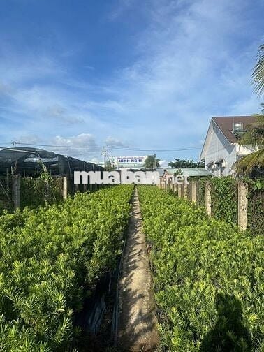Bán 631m2 Đất Hòa Nghĩa - gần ngã 5, mặt tiền hơn 9m QL57