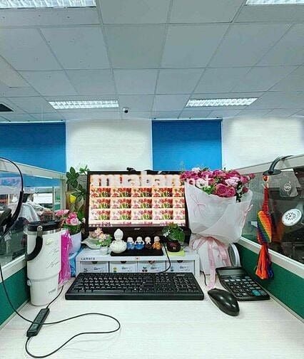 Tuyển Dụng Nhân Viên Chăm Sóc Khách Hàng VPBANK