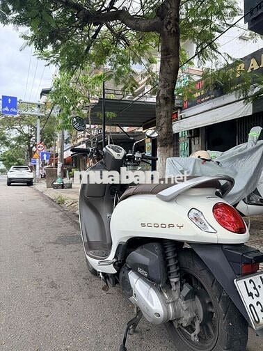 Honda Scoopy 2024 Trắng 110cc CBS LED