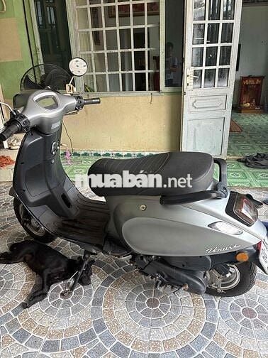 Venuxs Venuxs 50cc Xám Xăng