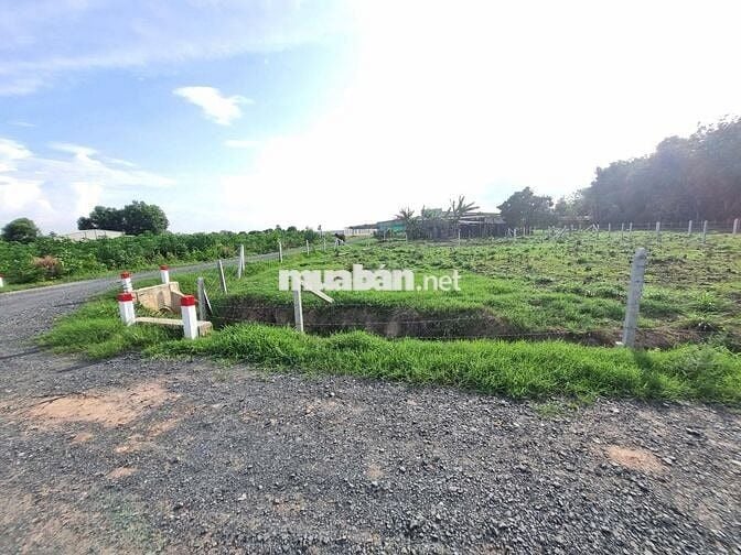Đất thổ cư gần KCN. ĐƯờng thông, chủ ngộp cắt lỗ 100tr. Giá 399tr