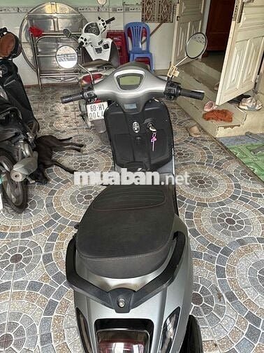 Venuxs Venuxs 50cc Xám Xăng