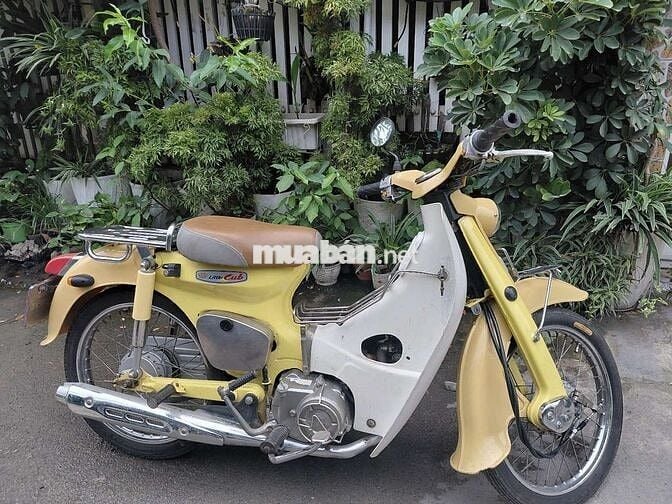 Honda Cub Thái Lan mẩu xưa cổ. bs66