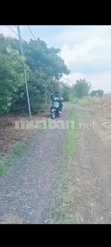 Bán đất xuân định.xuân lộc 1 tỷ 3