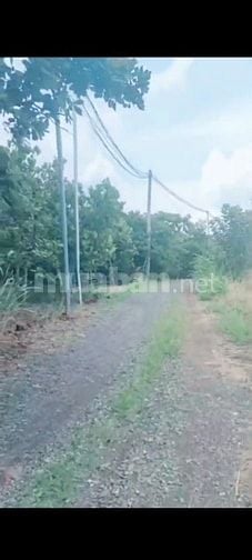 Bán đất xuân định.xuân lộc 1 tỷ 3