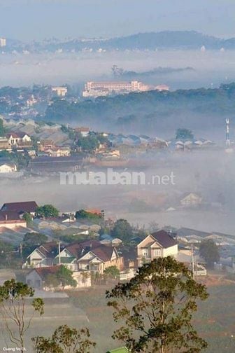Cho Thuê Biệt Thự Mini, Mới, Yên Tĩnh, An Ninh Tại Đà Lạt