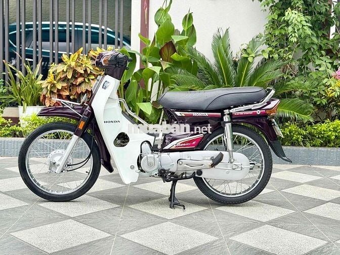 Honda Dream 1999 Thái Lan Nâu, Trắng
