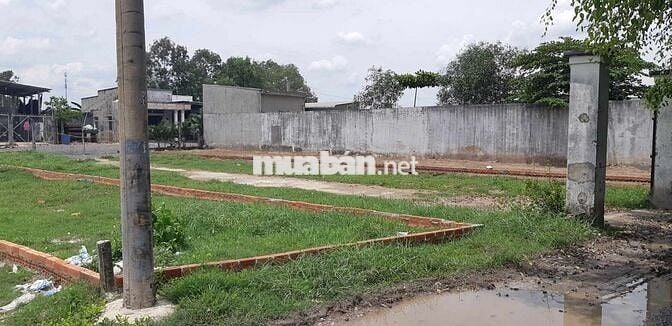 Bán đất gần đường ĐT 824, Đức Hoà Đông, 1,25 tỷ, 142 m2