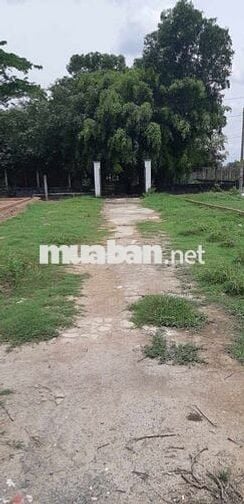 Bán đất gần đường ĐT 824, Đức Hoà Đông, 1,25 tỷ, 142 m2
