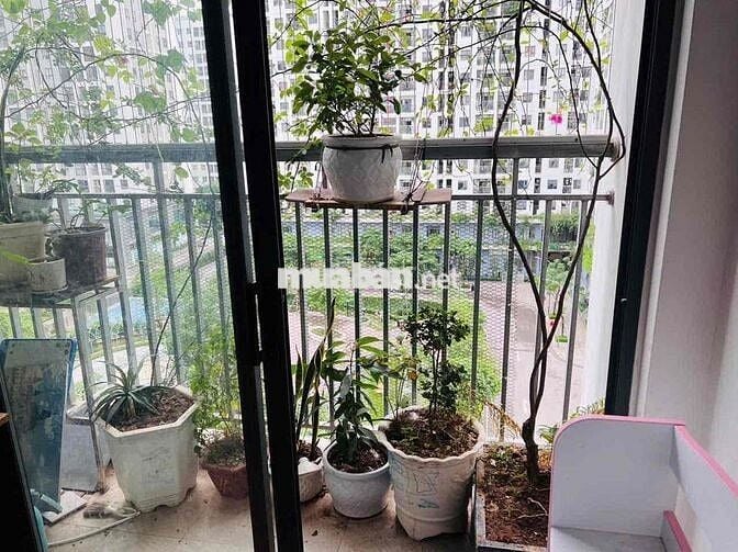 Căn hộ chung cư ecohome 3 Đông Ngạc bắc Từ Liêm