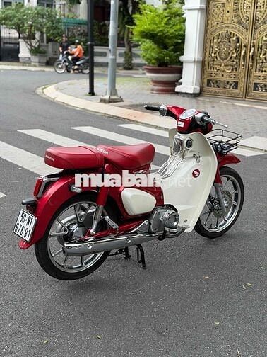 Honda Cub 125 2019 Đỏ Trắng Việt Nam