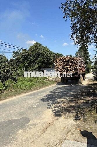 Chính Chủ Bán Nhanh Miếng Đất Ở Quê Giá Tốt