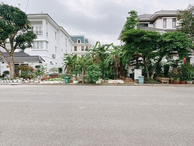 Bán đất và biệt thự Sao Đỏ - Anh Dũng -Mê Linh ngay chân Cầu Rào 2