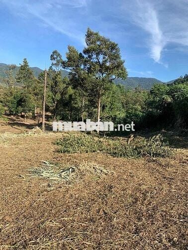 Mặt tiền quốc lộ 20 Rộng 2.614 mét Đạ Huoai, Đamb'ri, Lâm Đồng