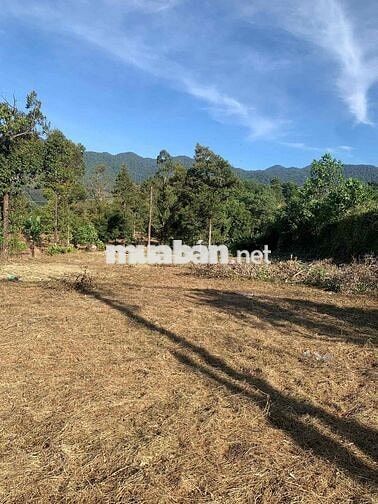Mặt tiền quốc lộ 20 Rộng 2.614 mét Đạ Huoai, Đamb'ri, Lâm Đồng