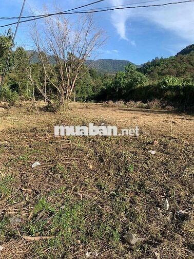 Mặt tiền quốc lộ 20 Rộng 2.614 mét Đạ Huoai, Đamb'ri, Lâm Đồng