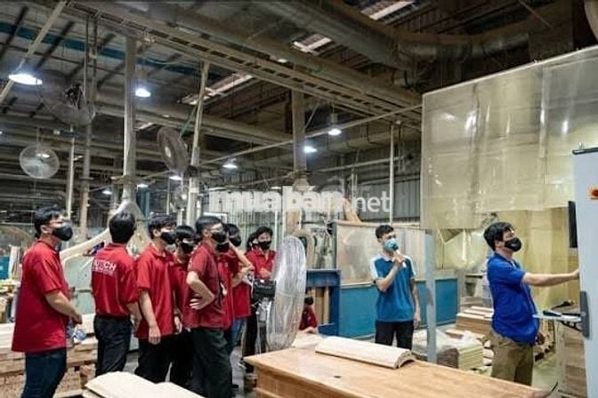 CÔNG TY BAO BÌ OJITEX TUYỂN DỤNG CÔNG NHÂN (LĐPT)