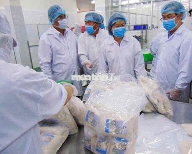 Tuyển 30 lđpt (chính thức + thời vụ + ca đêm)