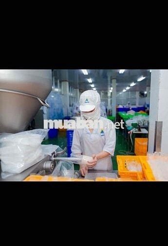 Tuyển 30 lđpt (chính thức + thời vụ + ca đêm)