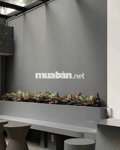 Cho Thuê Mặt Bằng Đường Lý Văn Phức, Quận 1 ( MB Rộng - KD Thoải Mái )