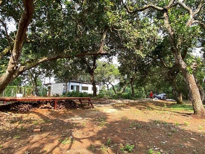 Đất Vườn Hồ Trị An 1.081m² View Trực Diện Hồ - Giảm Sâu 200 Triệu