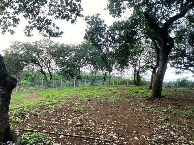 Đất Vườn Hồ Trị An 1.081m² View Trực Diện Hồ - Giảm Sâu 200 Triệu