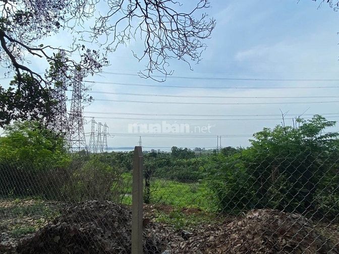 Đất Vườn Hồ Trị An 1.081m² View Trực Diện Hồ - Giảm Sâu 200 Triệu