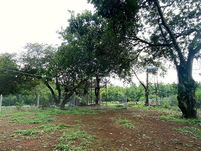 Đất Vườn Hồ Trị An 1.081m² View Trực Diện Hồ - Giảm Sâu 200 Triệu