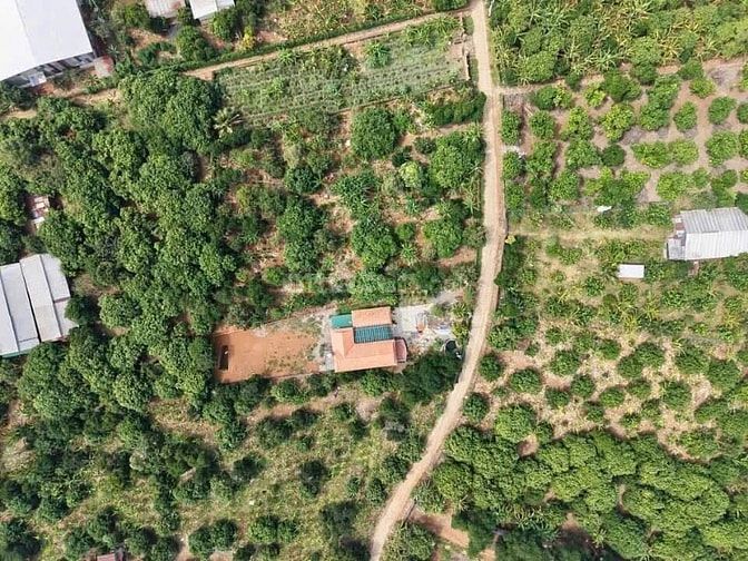 Đất Vườn Hồ Trị An 1.081m² View Trực Diện Hồ - Giảm Sâu 200 Triệu